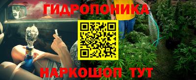mdpv Кимры