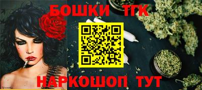 крисы Кингисепп