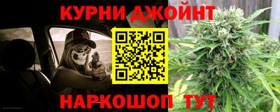 крисы Кингисепп