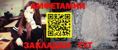 крисы Кингисепп