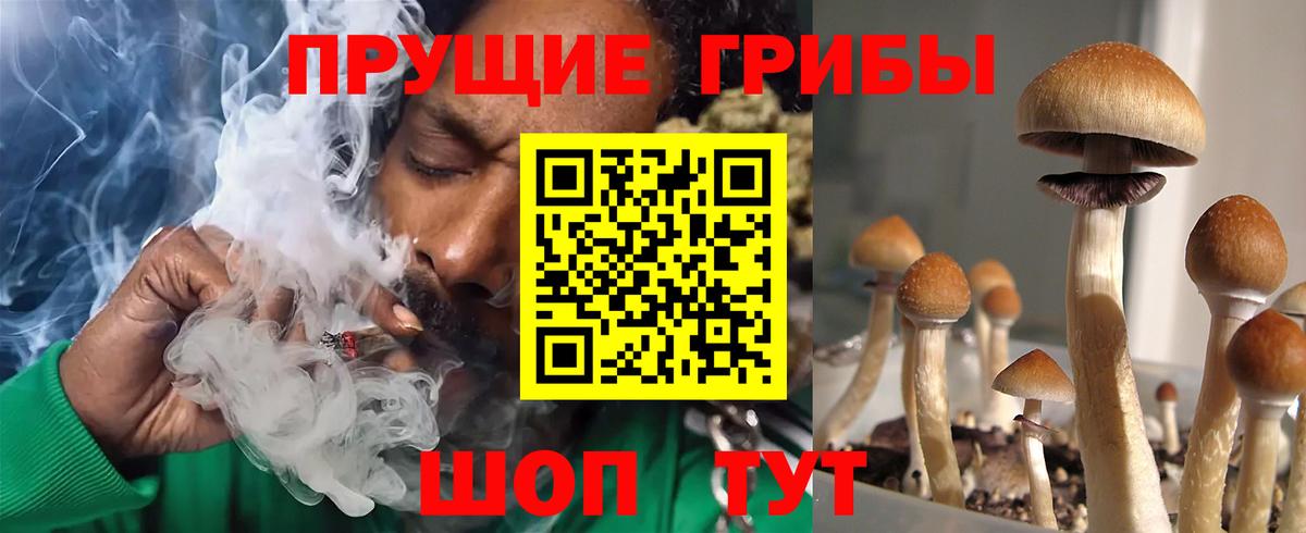 Кстово  купить наркотики цена  Вход с VPN  Псилоцибиновые грибы Magic Shrooms 