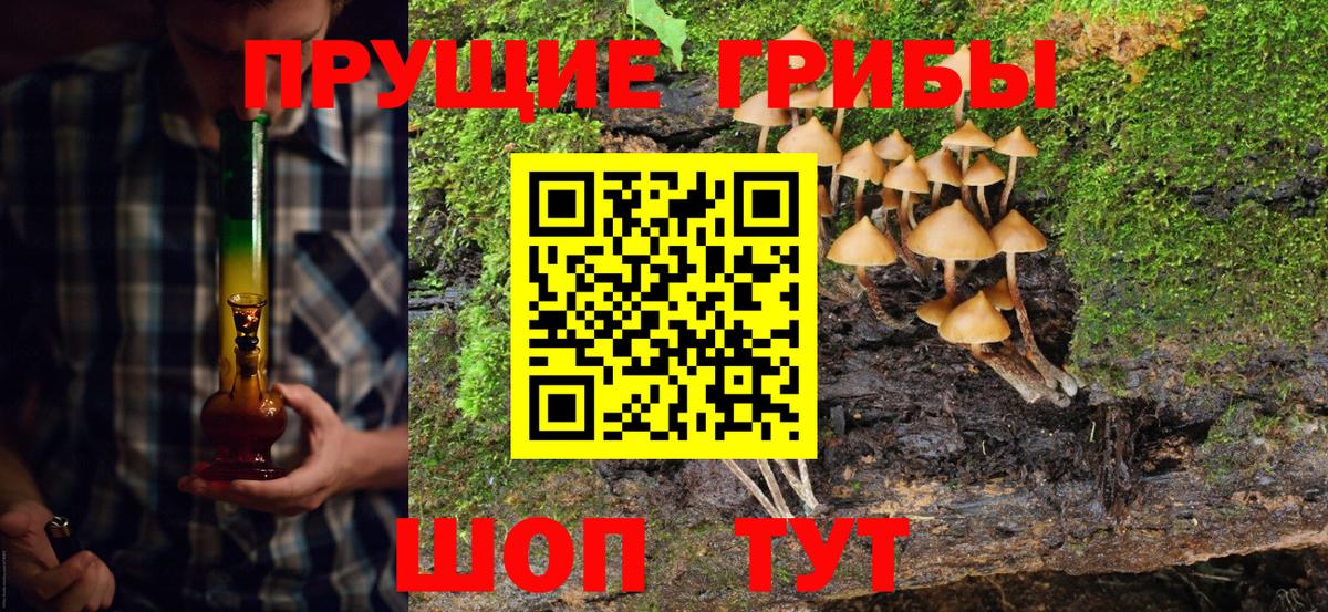 Псилоцибиновые грибы Psilocybine cubensis Кстово